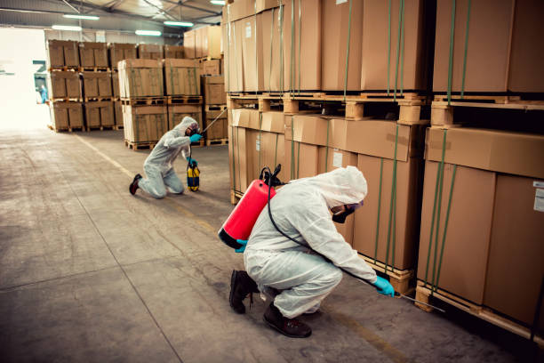 Wildlife Control Services in Windber, PA