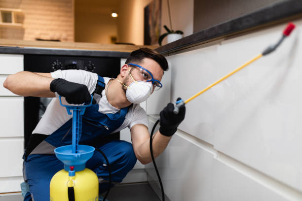 Pest Control for Restaurants in Windber, PA