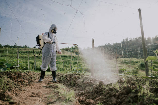 Best Pest Removal Services  in Windber, PA