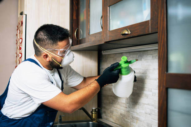 Best Emergency Pest Control  in Windber, PA