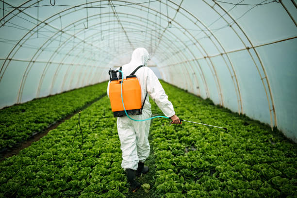 Best Affordable Pest Control Services  in Windber, PA
