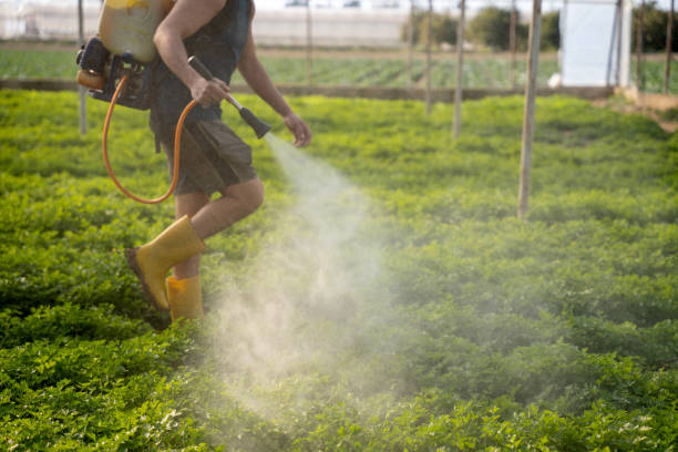 Best Pest Prevention Services  in Windber, PA