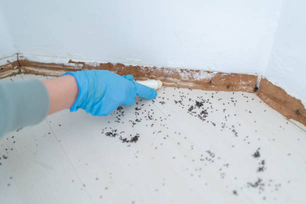 Pest Prevention Services in Windber, PA
